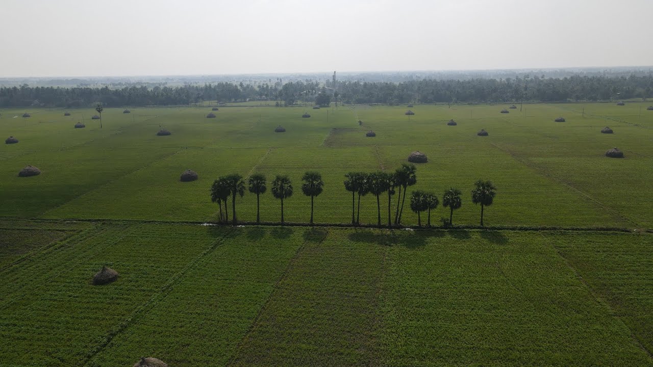RAAVI VARI PALEM # MY VILLAGE,😃&hearts;️😍🏘️🏠