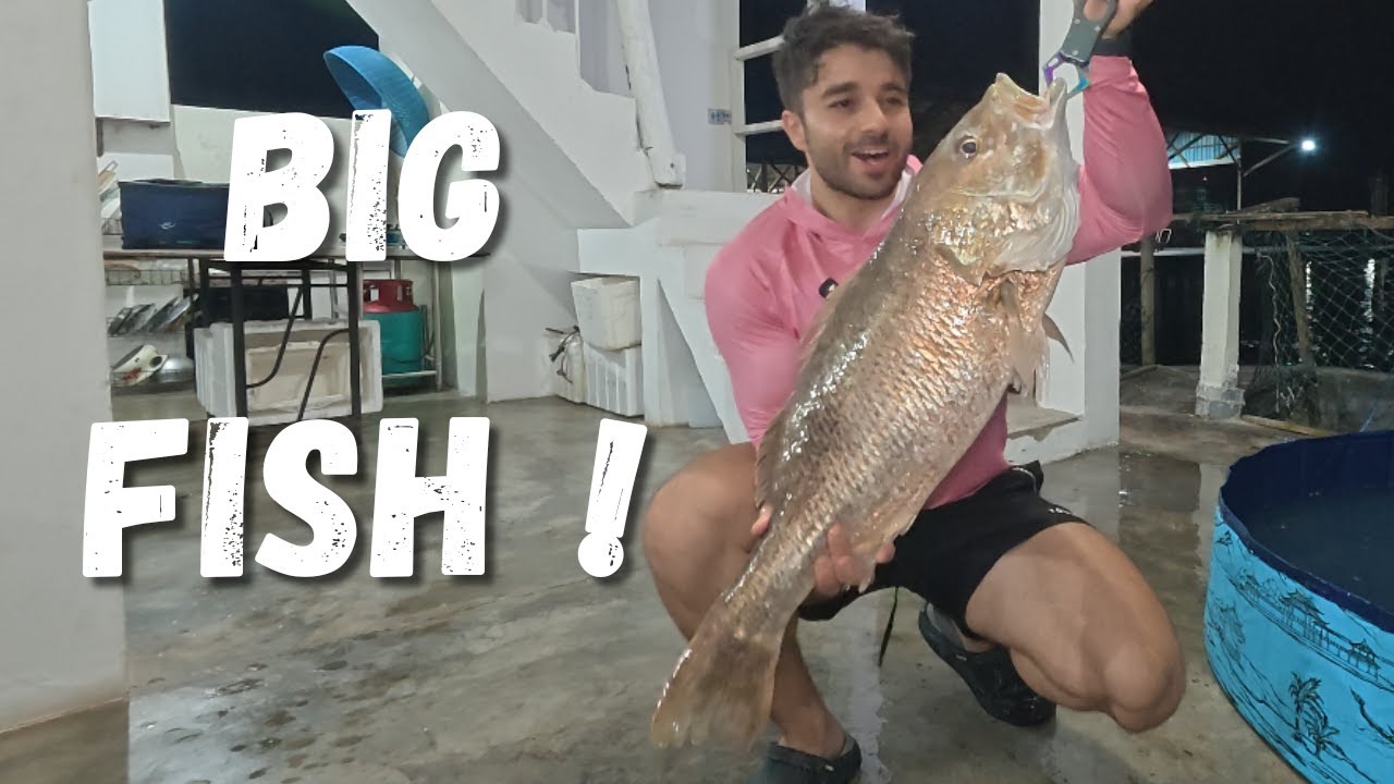 Fishing at Pangkor Fish House (Unexpected Catch)