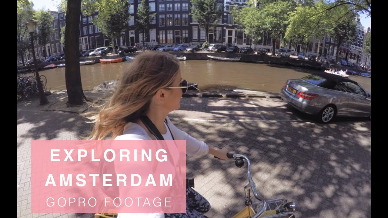 Exploring Amsterdam with Where's Mollie?