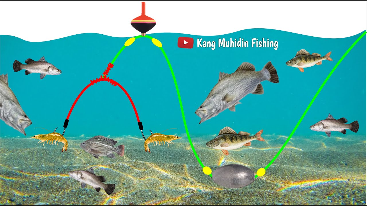 Tutorial cara membuat rangkaian pancing ikan nila umpan udang 2 kail - Kang Muhidin Fishing