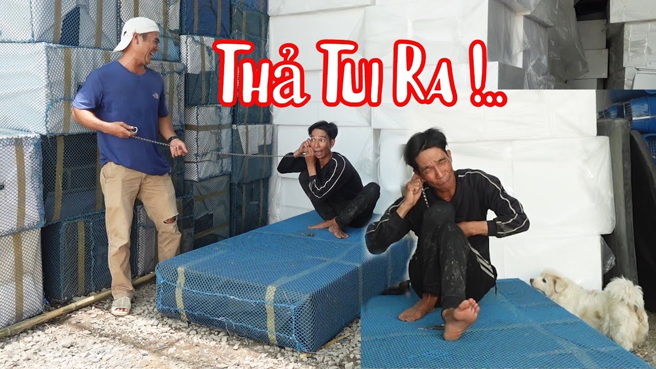Bà 8 Phong Ngựa Ngựa Bông Tai Chi Cho 10 Râu Xích Lại Như Chó