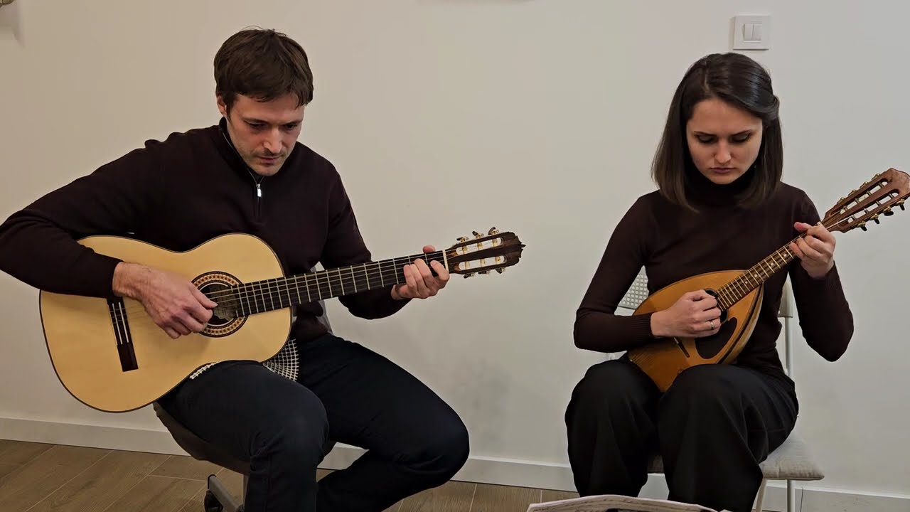 The Danube Duet - Nothing Else Matters (Guitar and Mandolin)
