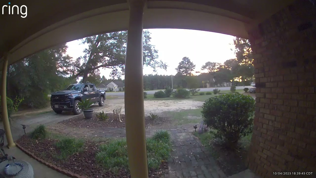 Video I Evidence 1 7 2026