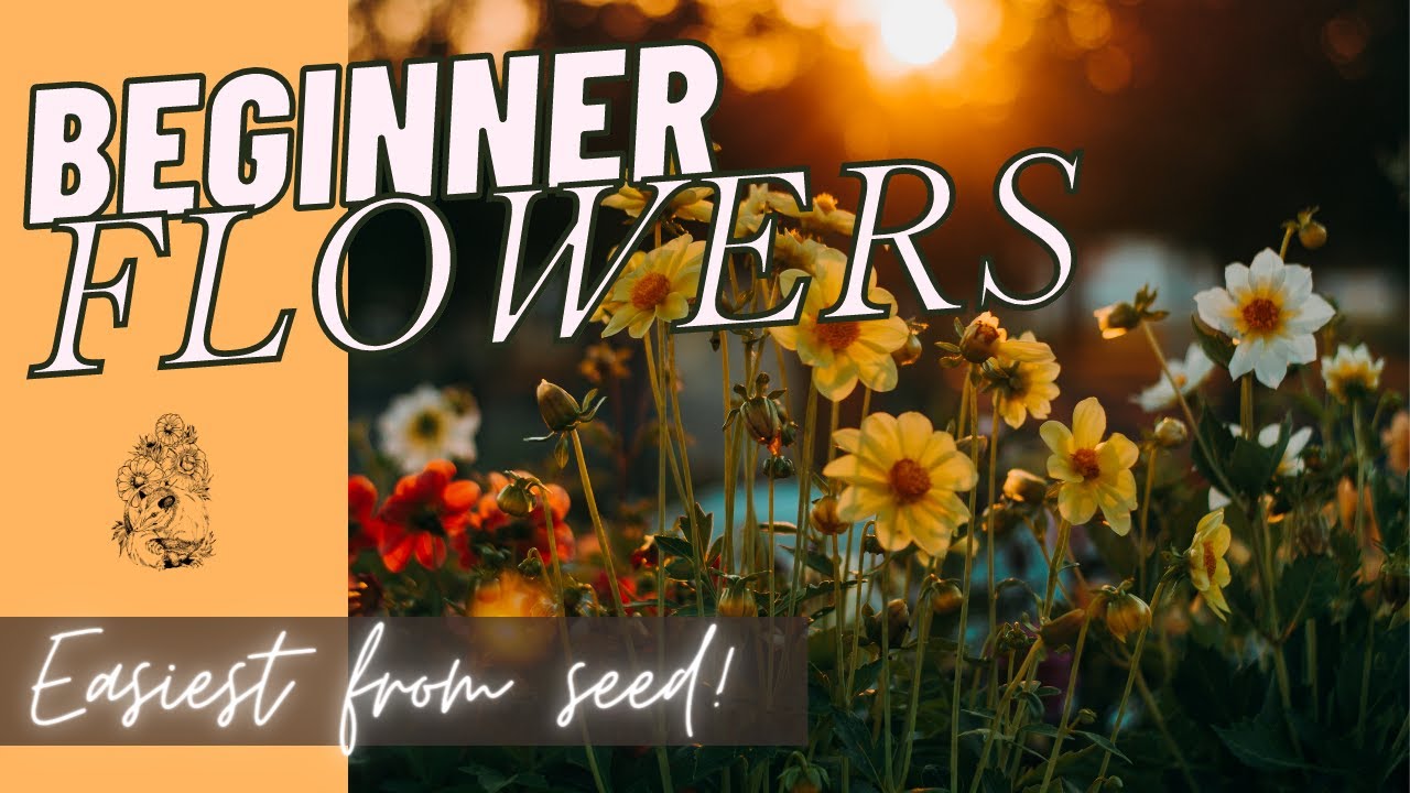 Favorite Flowers for Beginners: Growing Flowers from Seed Cut Flower Garden 🌼🌿🌸
