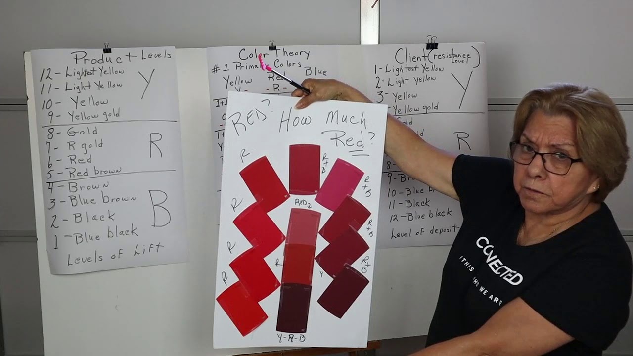 A to Z Cosmetology - Hair Color   DEFINED   Theory