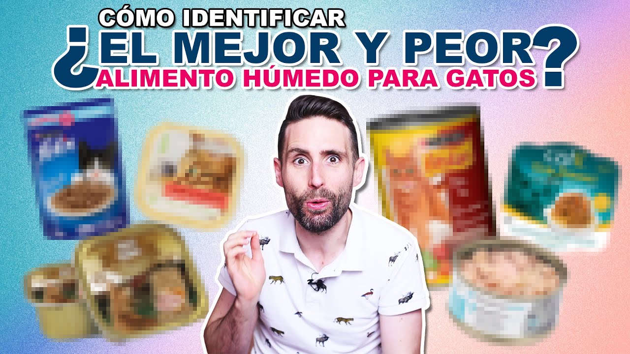 ¿Cuál es el MEJOR y PEOR ALIMENTO HÚMEDO (latita, sobre, paté...) para tu GATO según su etiqueta?