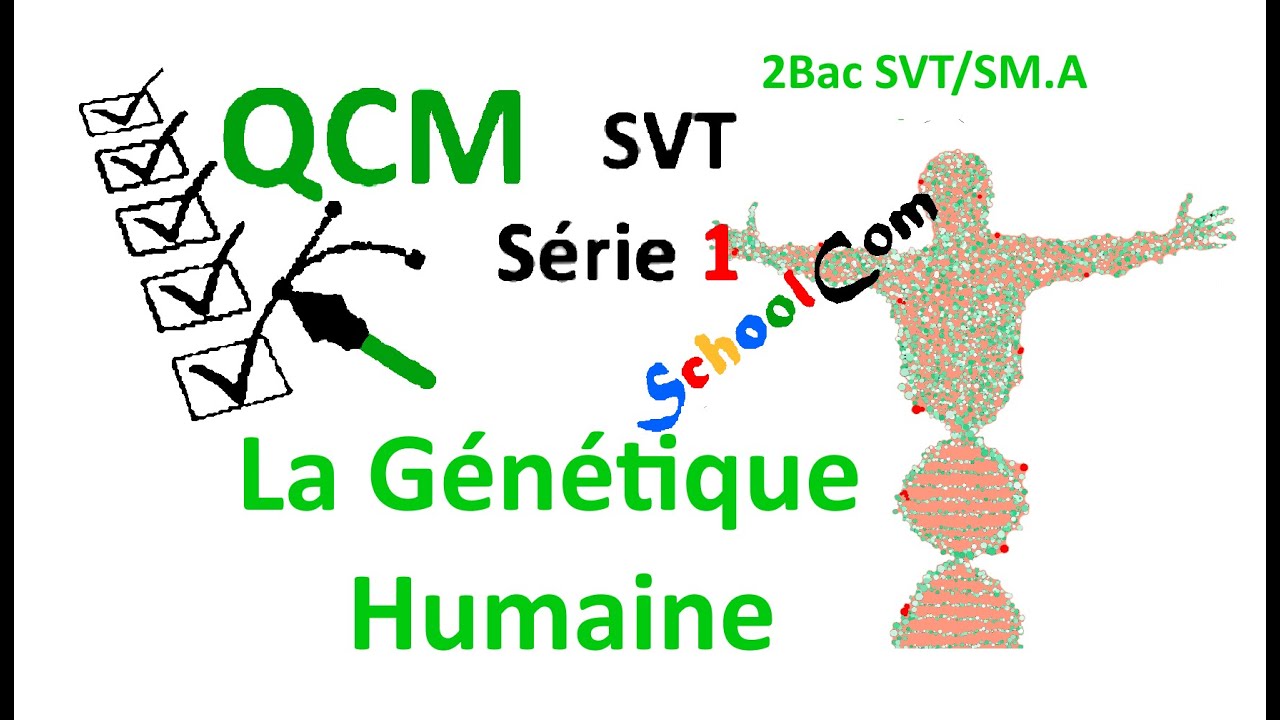 QCM1-svt-2Bac SVT/SM.A: La génétique humaine