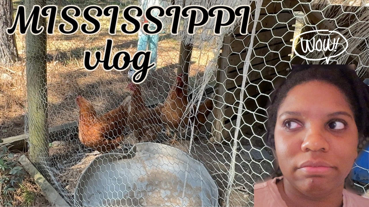 MISSISSIPPI VLOG| cozy in MS?...was this a mistake??