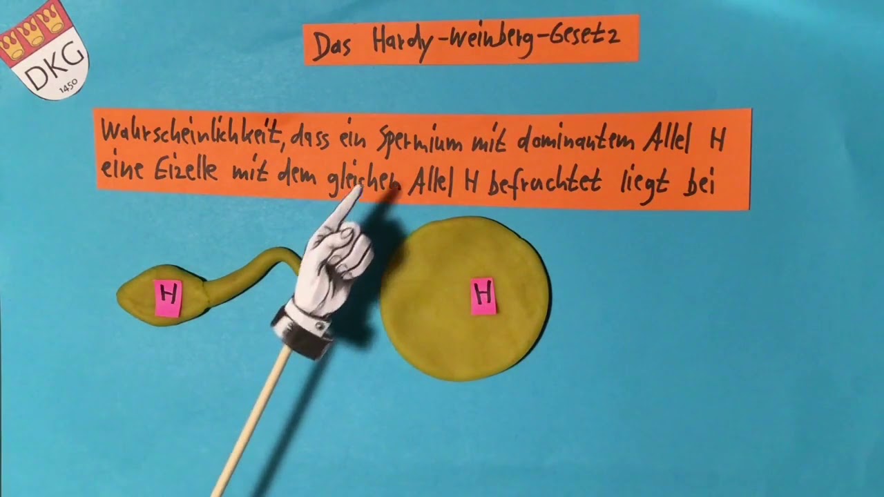 Evolution 7 Hardy, Weinberg und die Populationsgenetik