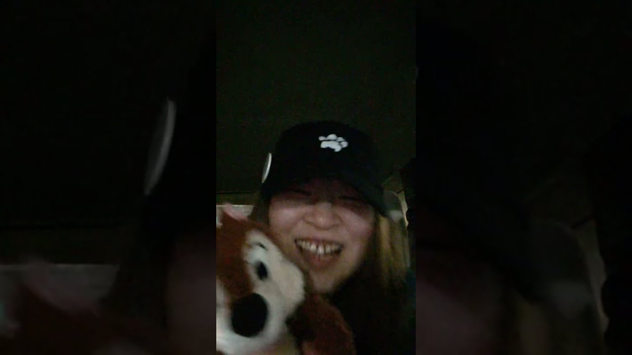 深夜11時〜0時までゲリラライブ🙋🐕✨