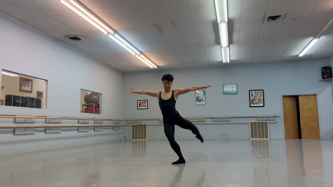 Variation and Contemporary