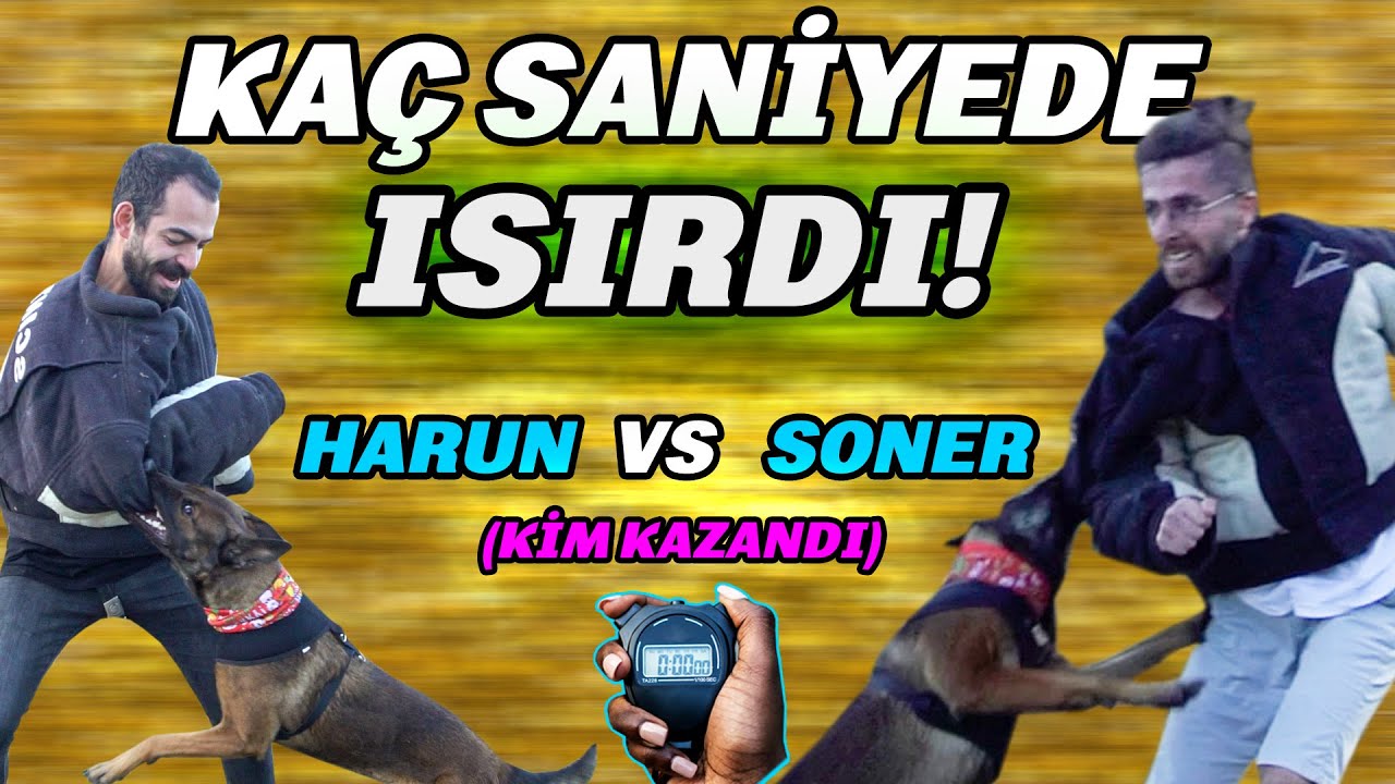 DÜNYANIN EN TEHLİKELİ OYUNU! (Saldırgan Bir Köpekten Kaç Saniye Kaçabilirsiniz?) Puppy Malinois TR