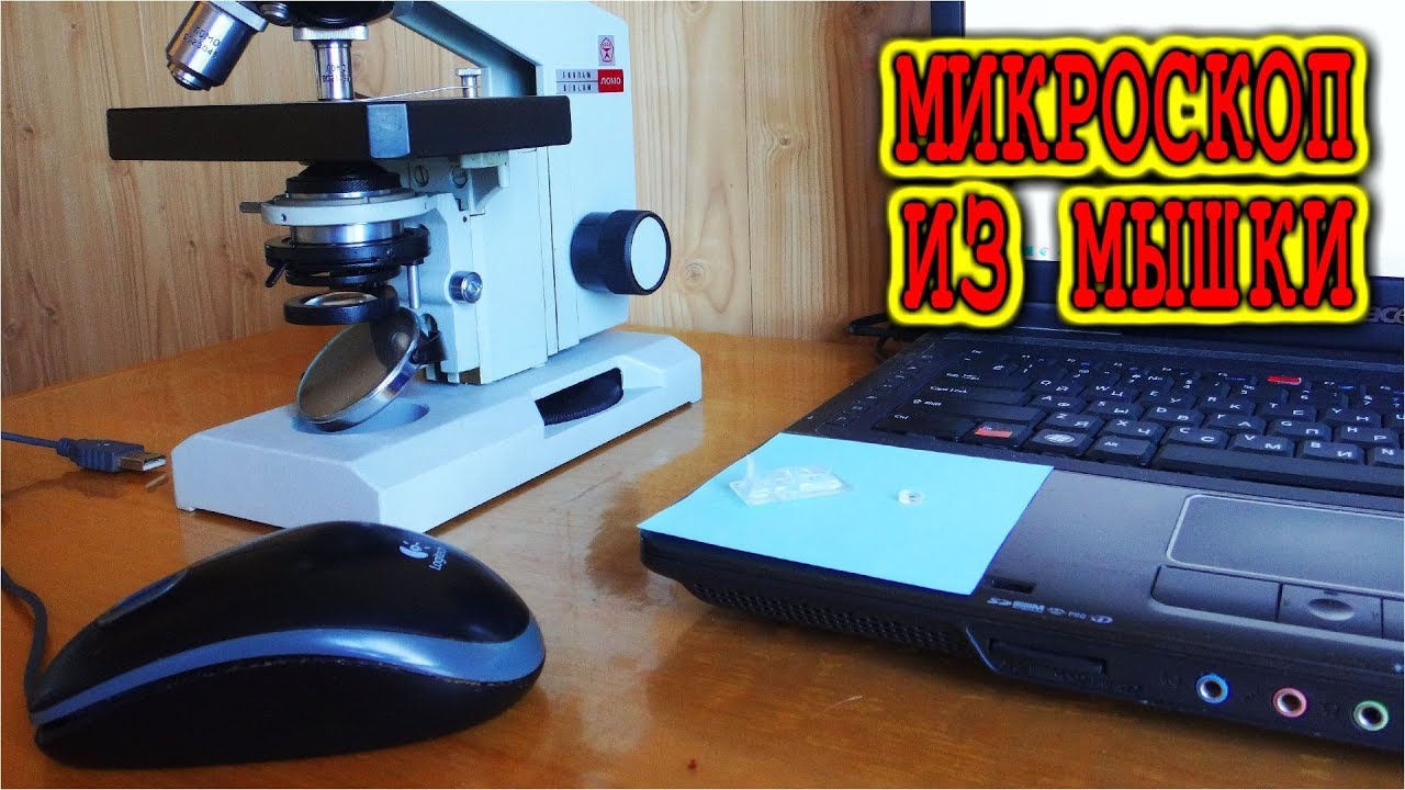 ✅ МИКРОСКОП х1000 из МЫШКИ 🌟 с офигенским увеличением и очень просто!