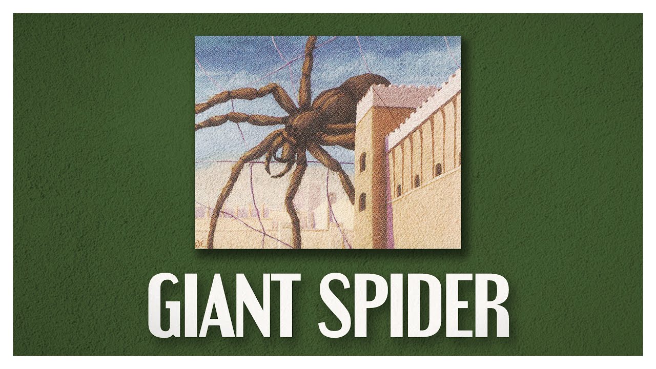 Watching the Spider's Web | Giant Spiders in Magic and Media