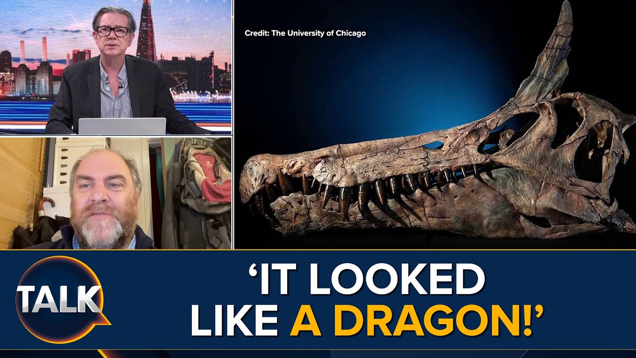 ‘Head Is Bigger Than A Body!’ | ‘Dragon’ Species That Lived 95 Million Years Ago Found In Sahara