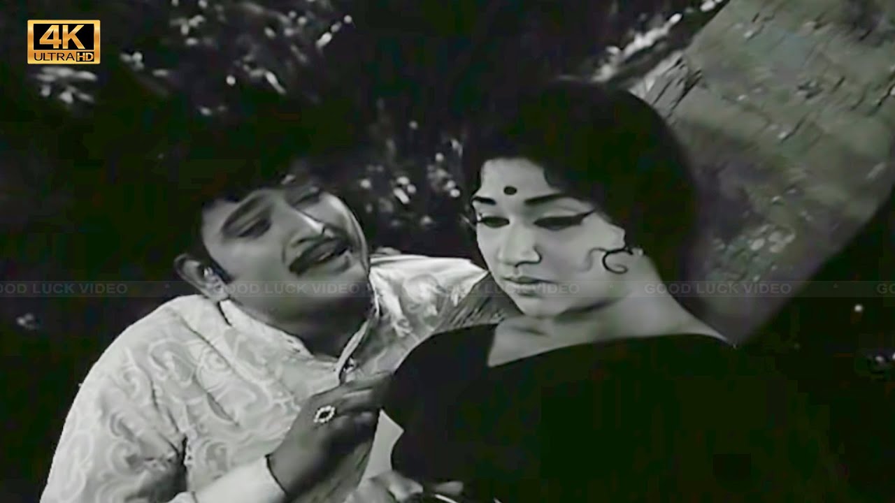 அன்பே அமுதா பாடல் | anbe amutha song | Msv | Ravichandran, Vijayakumari old love song .