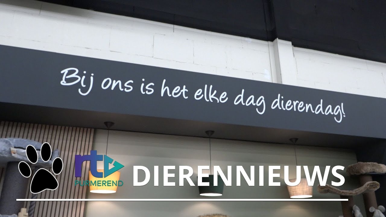 Zo gaat het eraan toe in een dierenwinkel