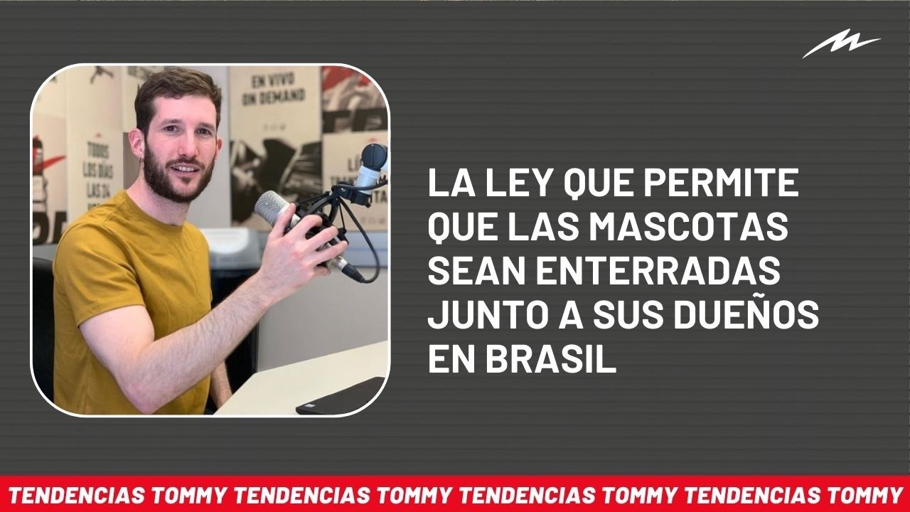 #TendenciasTommy: la ley que permite que las mascotas sean enterradas junto a sus dueños en Brasil