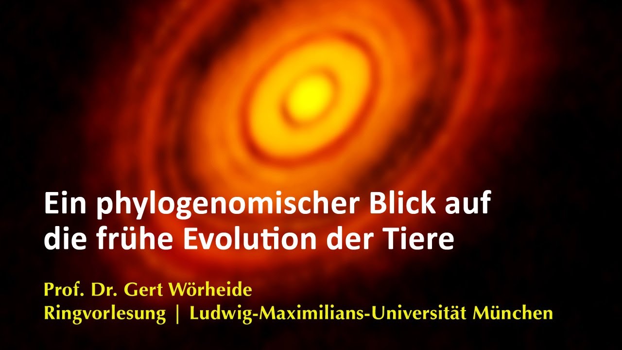 Ein phylogenomischer Blick auf die frühe Evolution der Tiere