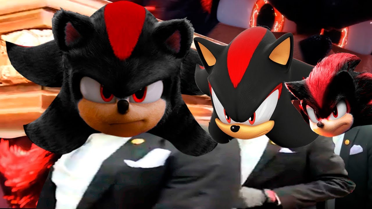 Shadow the Hedgehog - Coffin Dance Song (COVER) #2