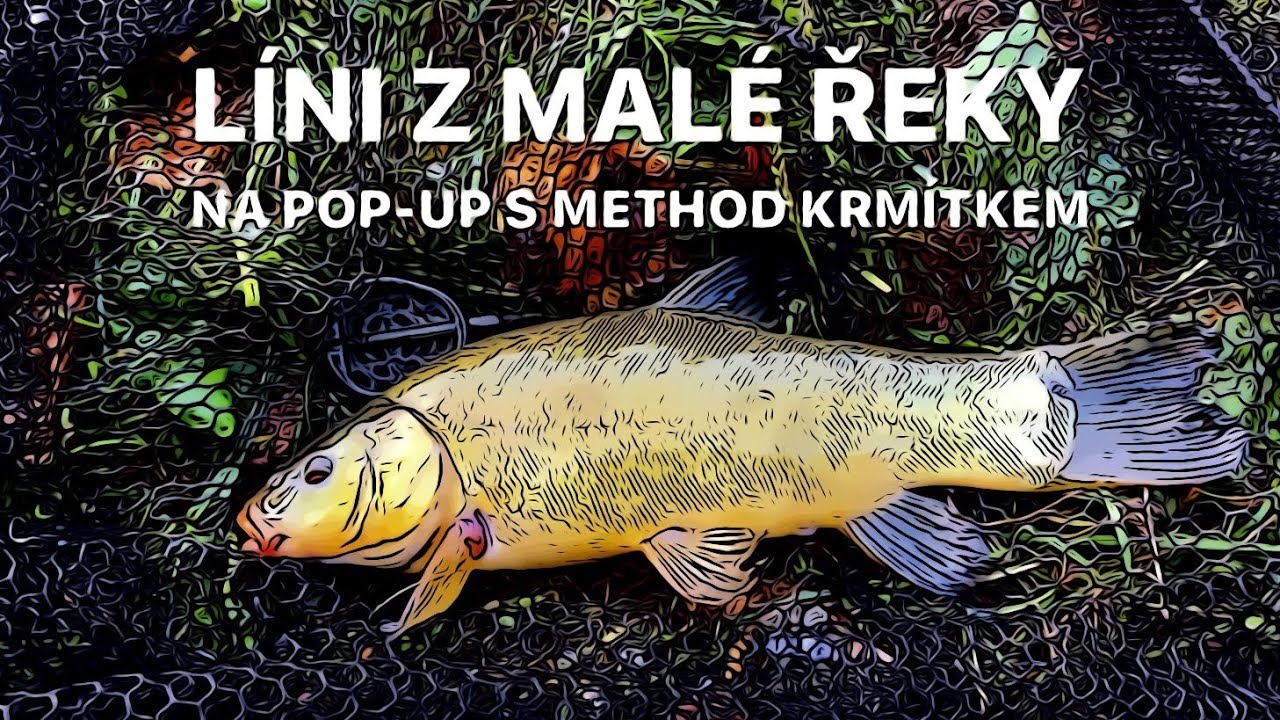 LÍNI Z MALÉ ŘEKY ORLICE S METHOD KRMÍTKEM NA POP-UP SPORTCARP MORUŠE ČESNEK, KRMÍM SONUBAITS WORM