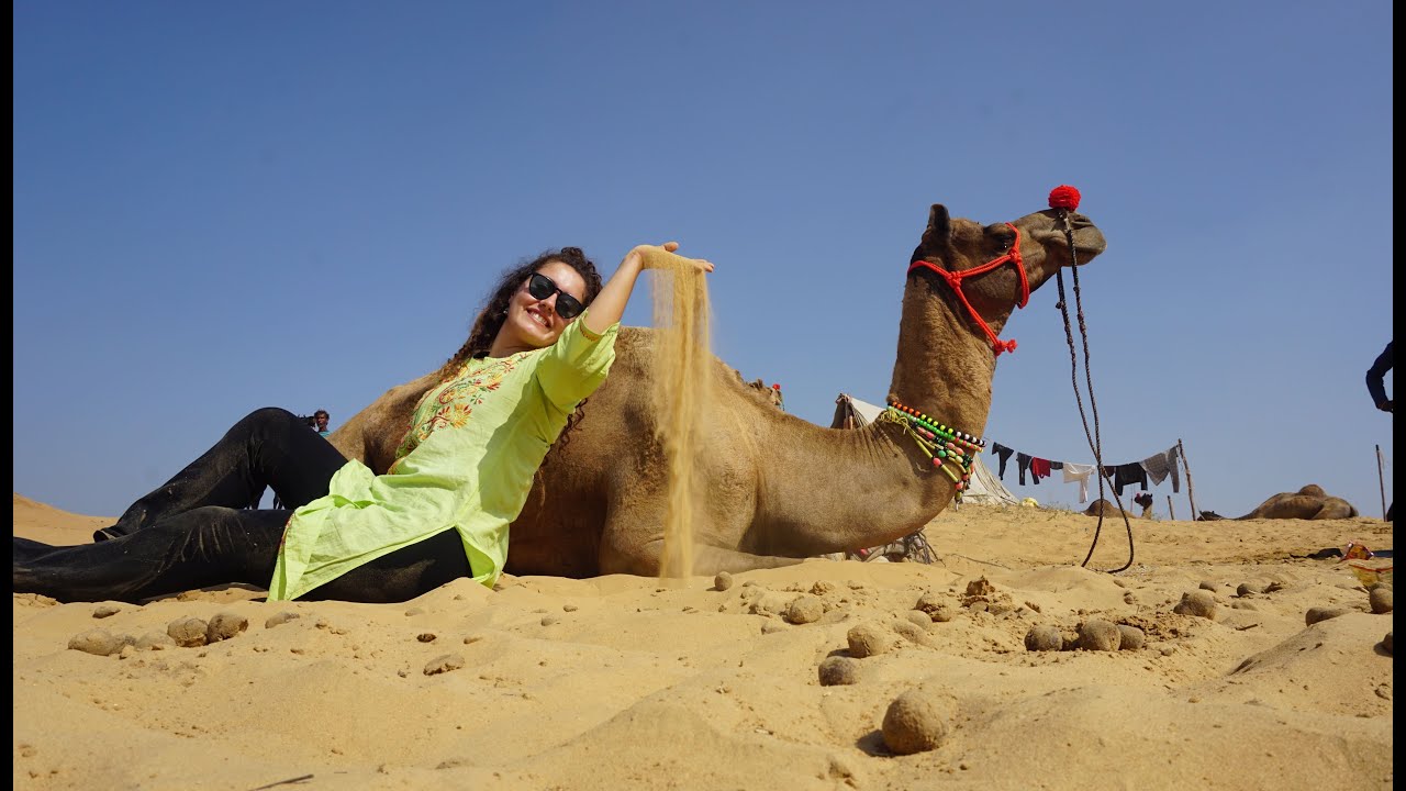 Inside Pushkar Camel Fair 2024 | Full Story