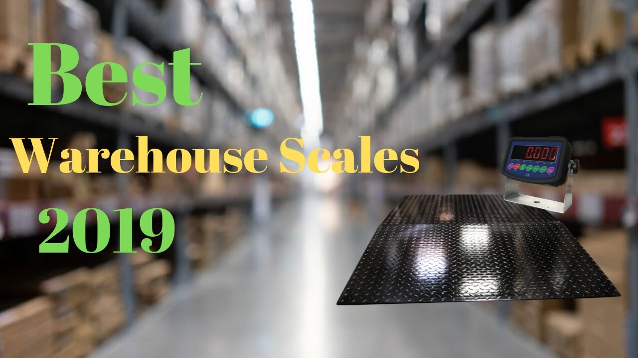 5 Best Scales for Warehouses