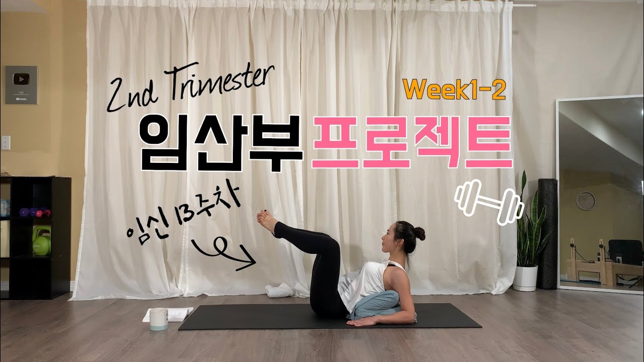 Week1-2/임산부프로젝트(2nd Trimester)