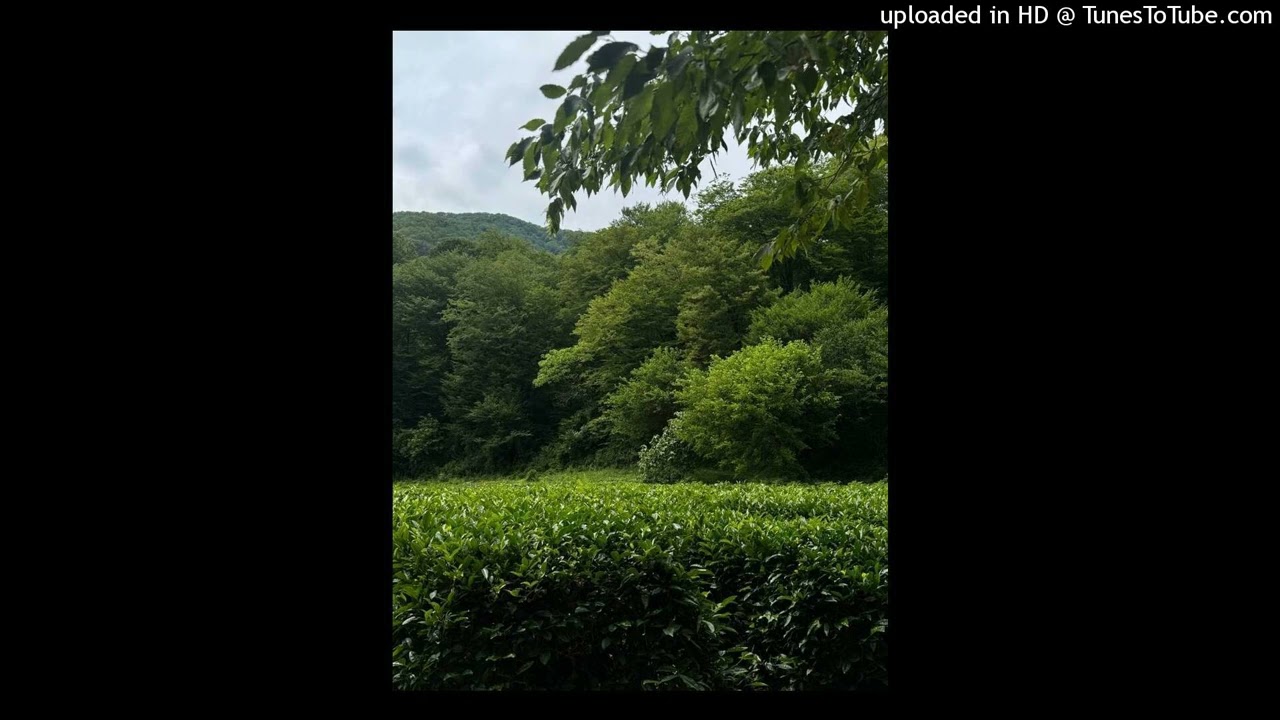 ✧FREE✧ kurai x classic digicore type beat (prod. leiseklugboy+ nightiger