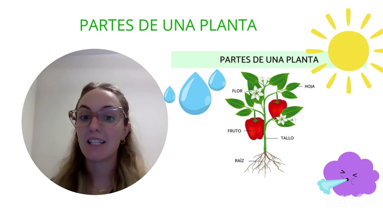 Actividad 1. Fase de antes