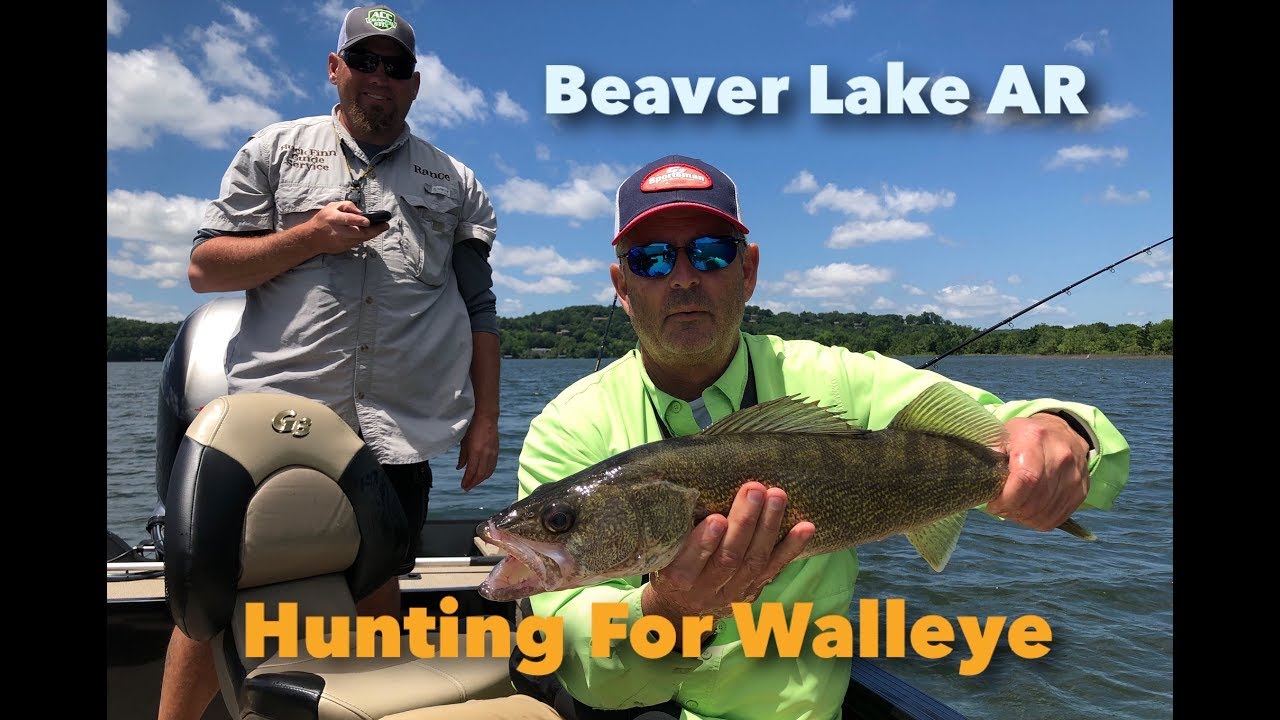 The Hunt For Walleye From Beaver Lake AR