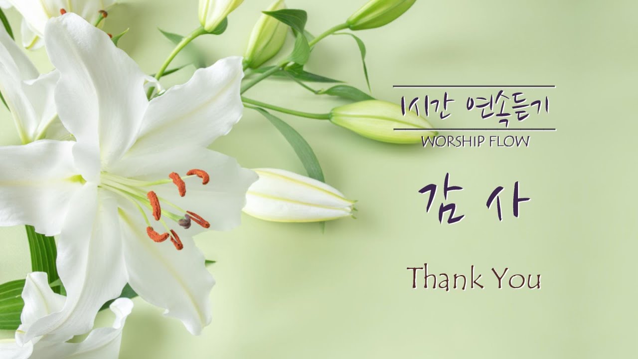 [1시간 연속듣기] 감사 피아노 CCM 연주/Thank You Piano Instrumental(영어가사/lyrics)
