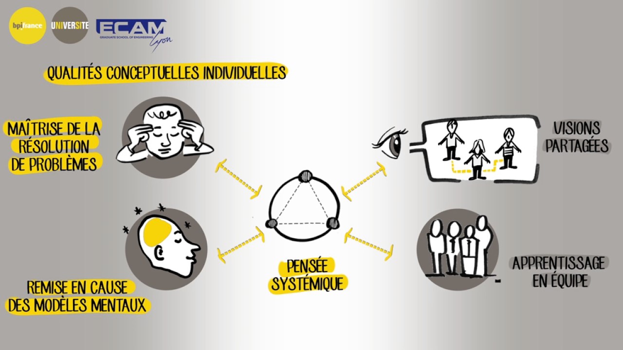 Du lean management &agrave; l'entreprise apprenante