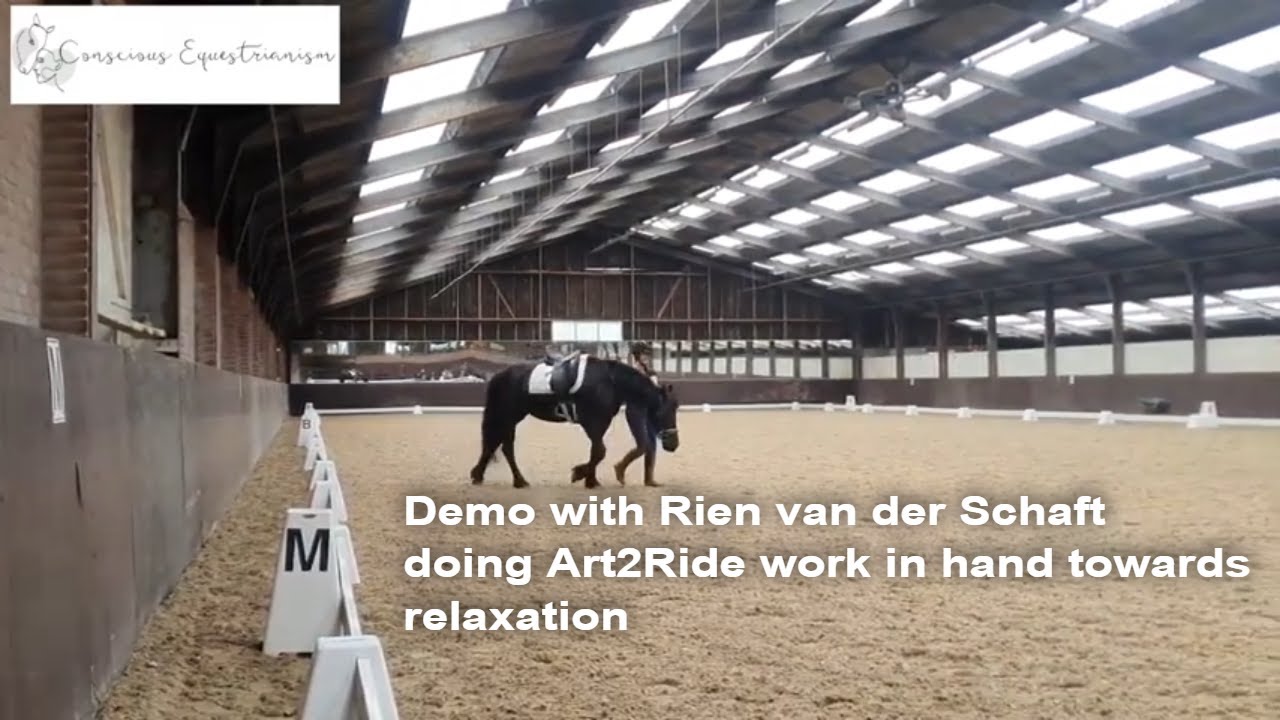 Part 1 ; Demo with Rien van der Schaft doing Art2ride work in hand towards relaxation. Oct-2021
