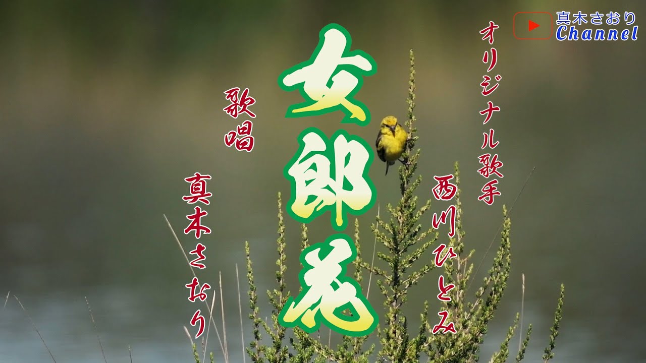 女郎花（西川ひとみさん）唄/真木さおり