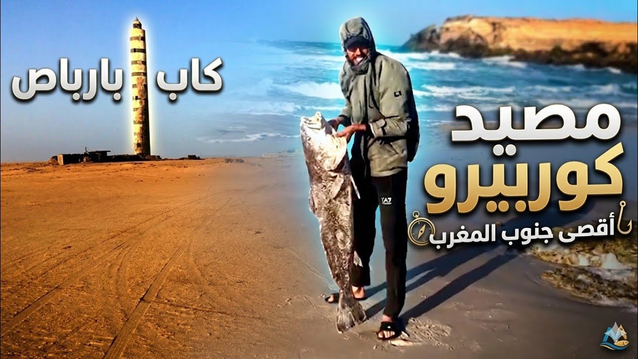 Pêche Courbirou sud Cap Barbas - مصيد كوربيرو جنوب كاب بارباص