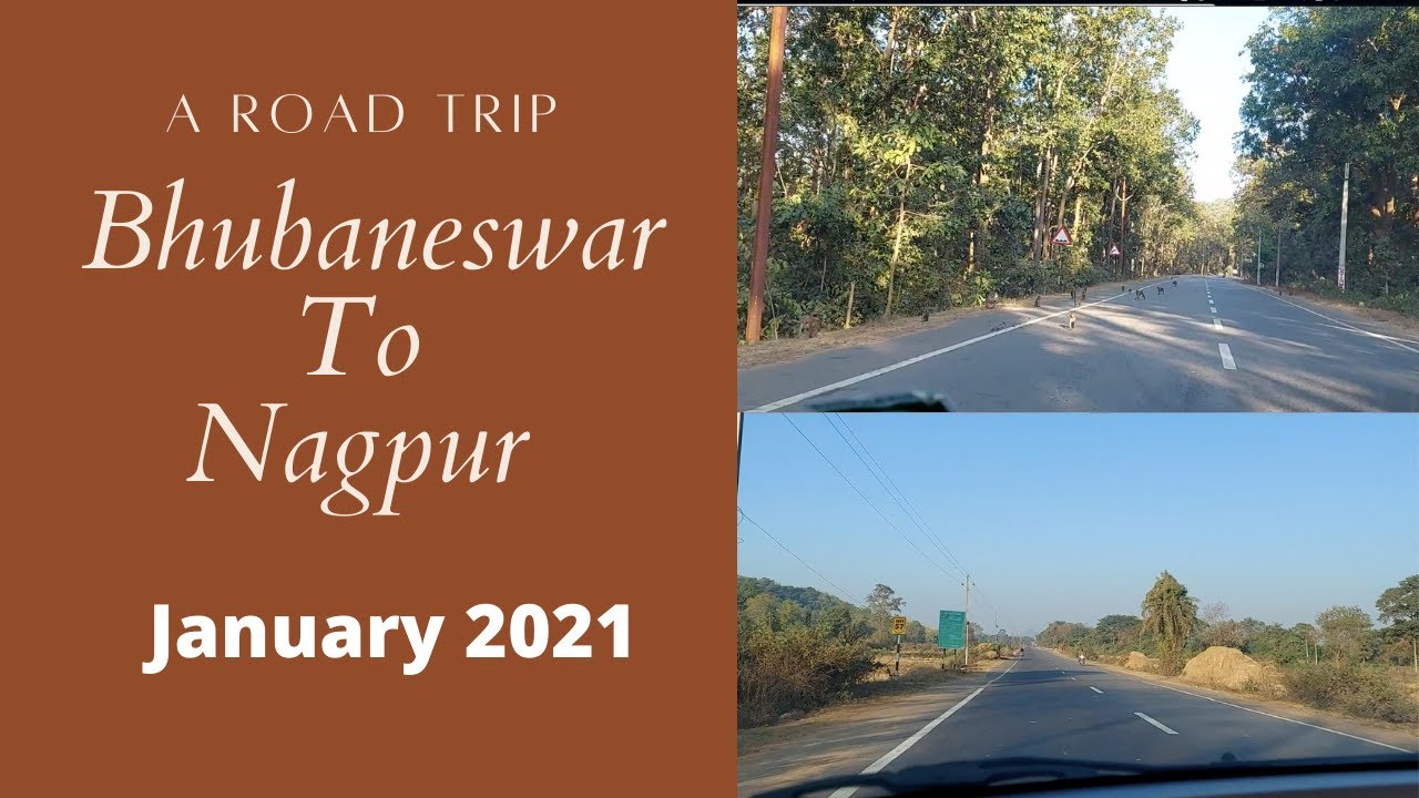 BBSR to Nagpur Road Trip/ Bhubaneswar To Nagpur by Road / Road Trip with two dogs and two kids/