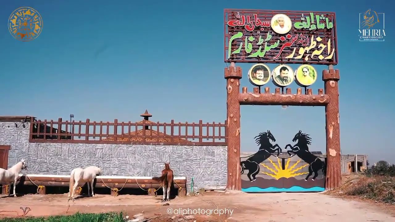 Raja Atif Zahoor Chakwal || Horse farm and Mehria Championship nezabaazi interview part 2