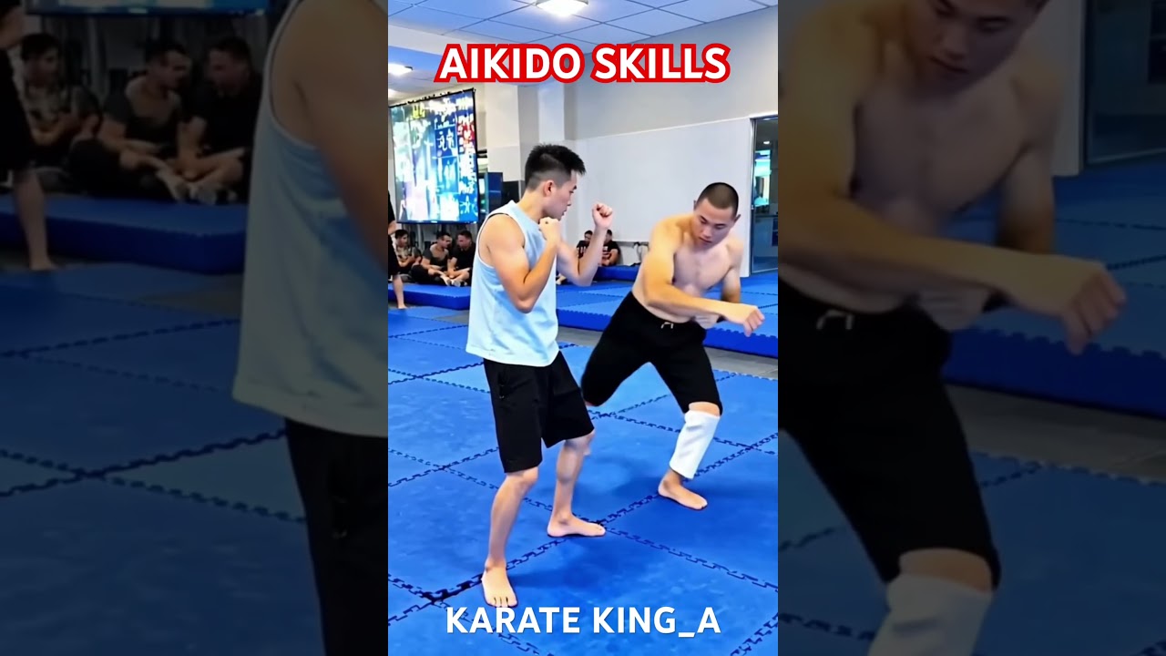 Aikido Skills #aikido #mma #martialarts #tutorial #india #shorts #shortvideo #usa #viral #boxing #yt