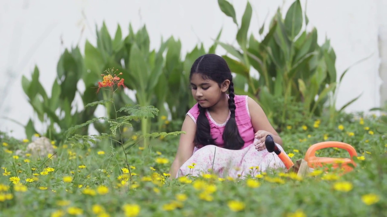 Bashundhara Paper Mills Ltd. Documentary 2018