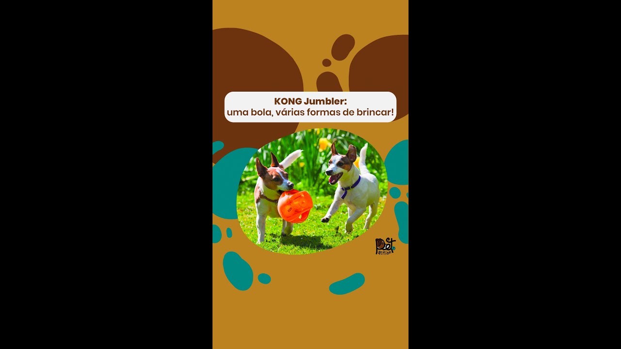KONG Jumbler: uma bola, várias formas de brincar