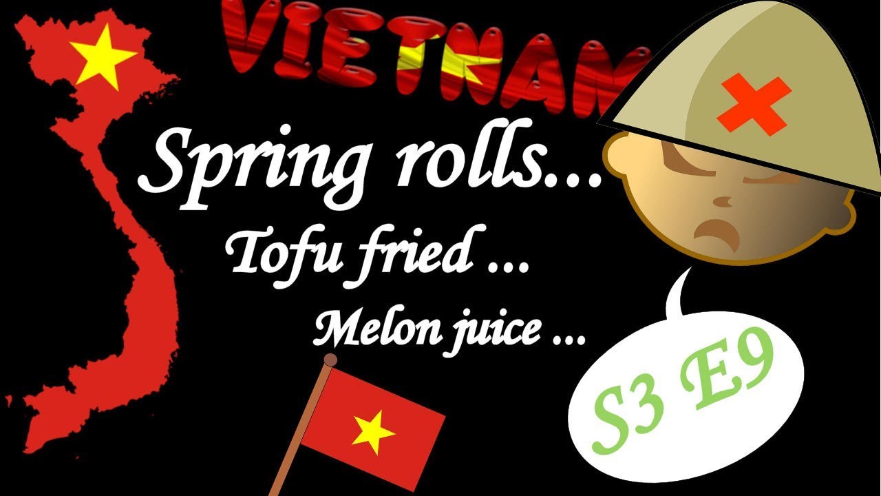 SPRING ROLLS / TOFU fried / Jus de MELON
