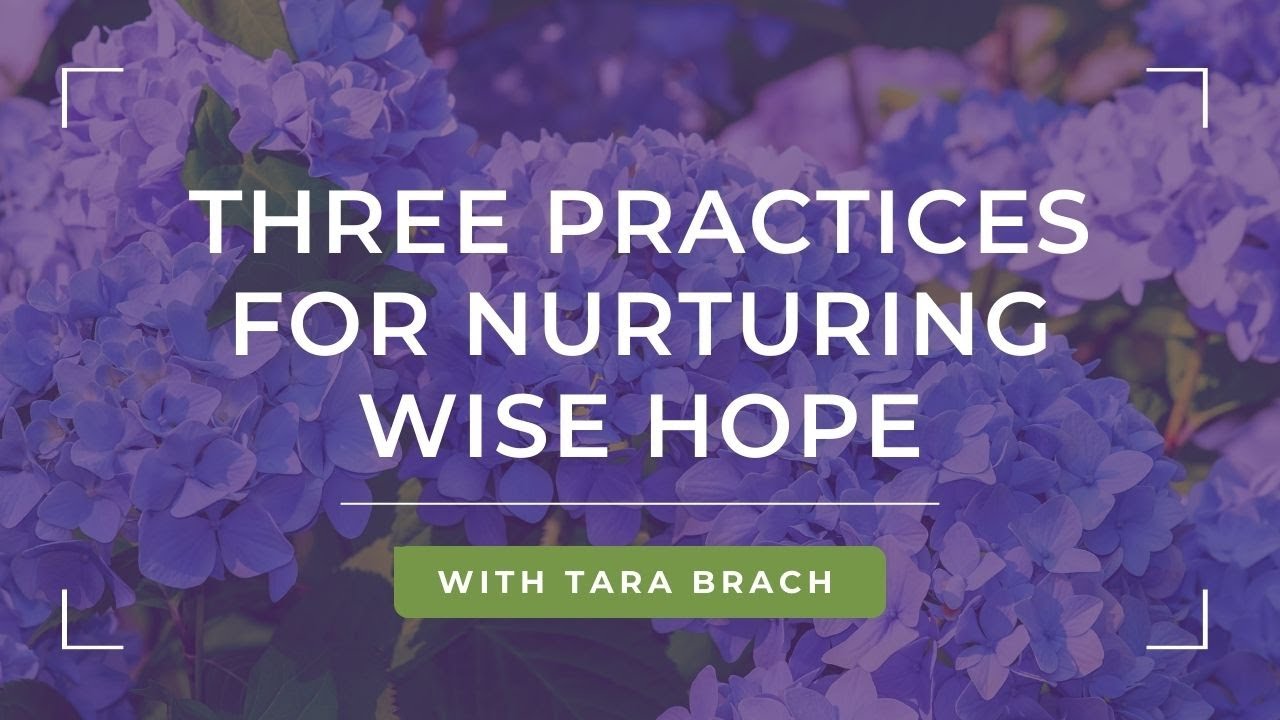 Three Practices for Nurturing Wise Hope, with Tara Brach