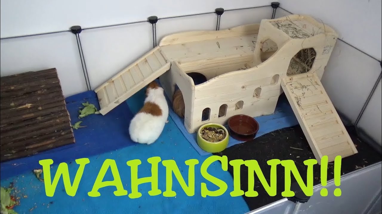 MEGA ERLEBNISBURG FÜR MEERSCHWEINCHEN VON RESCH