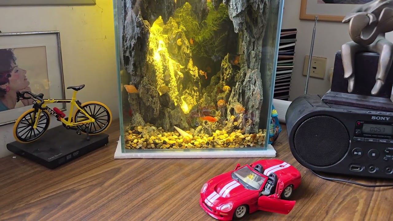 Yossi bartov -- Aquarium.