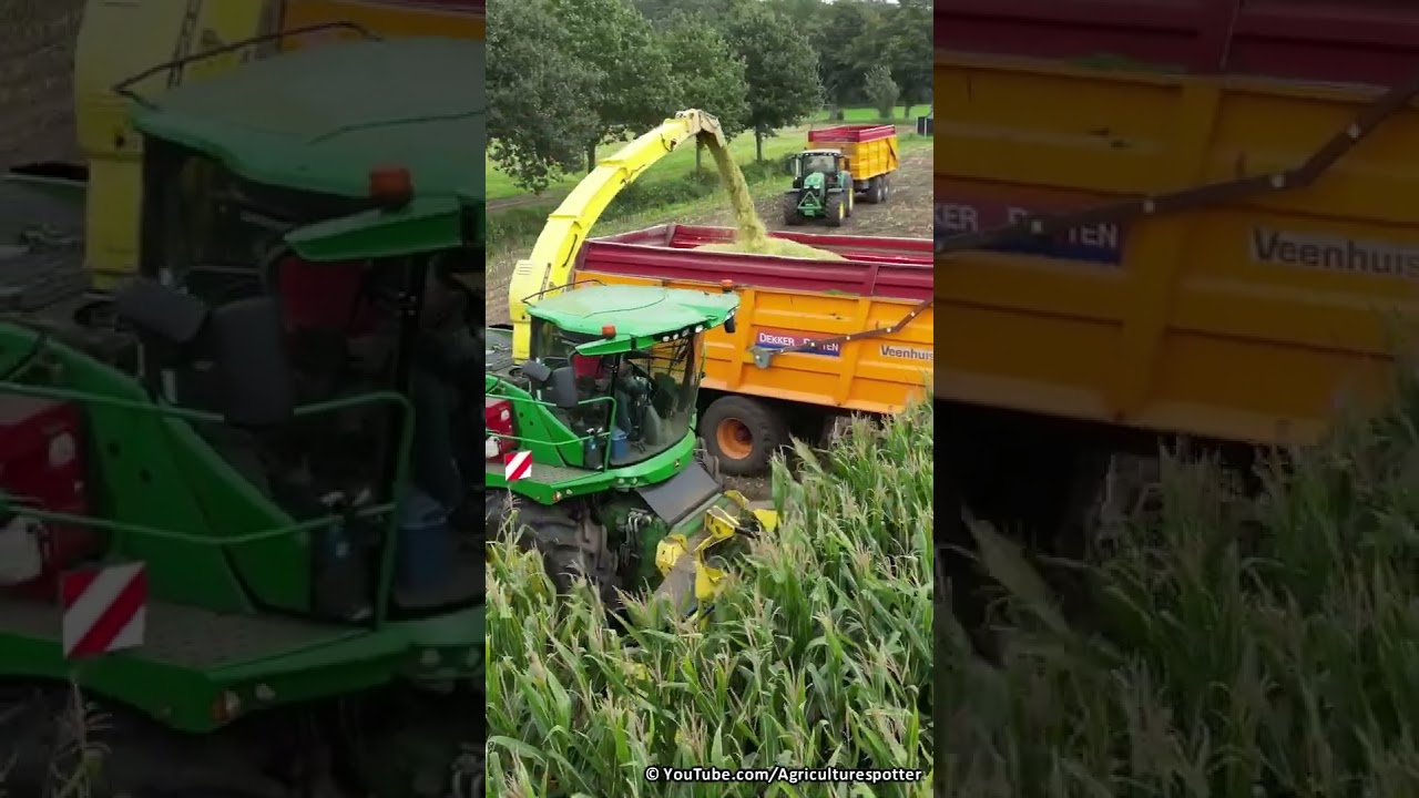 Mais Silage | John Deere 8300i | Dekker Putten | 2023