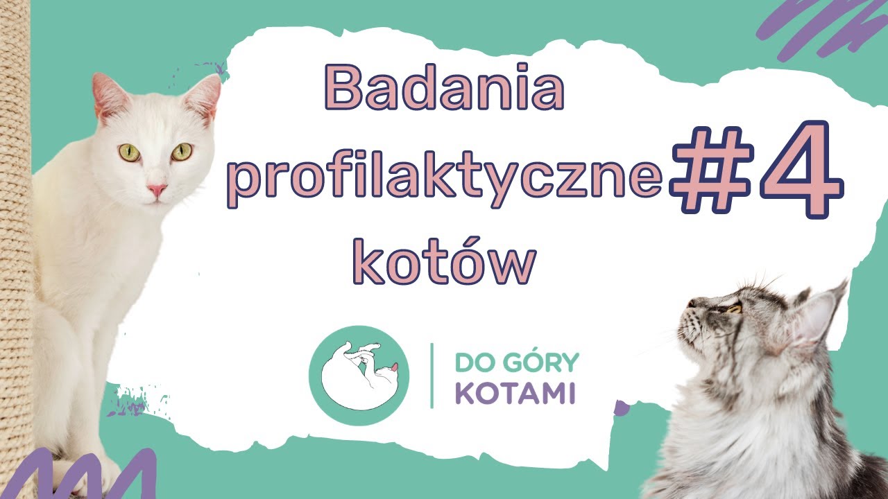 Badania u kotów - lek. wet. Paulina Przeździecka | Podcast Do góry kotami 004 | Joanna Szopińska