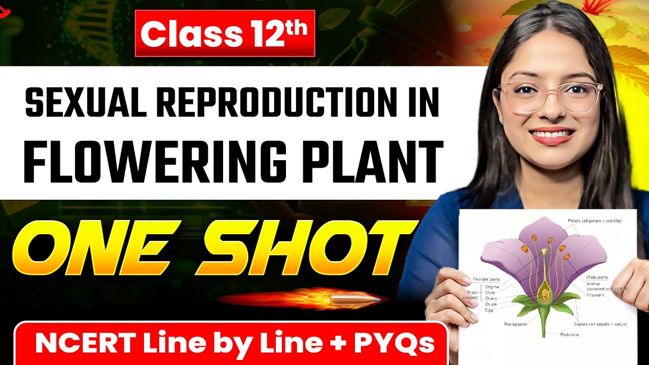 Sexual Reproduction in Flowering Plant One Shot | Class 12 BIOLOGY Chapter 1| CBSE Board exam 2026