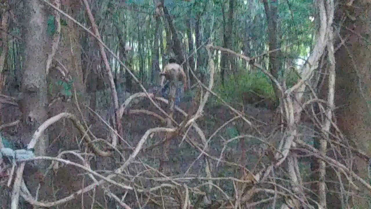 Kledus is found AGAIN DUN DUN