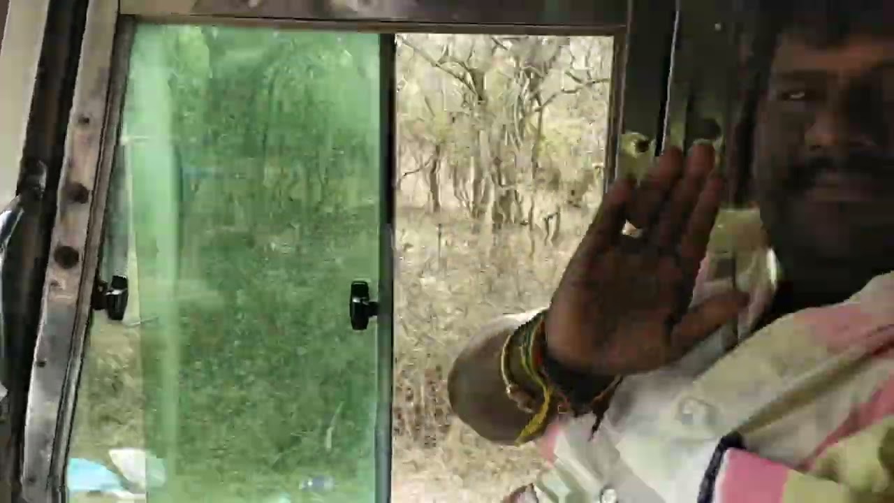 24/3/2025 வெள்ளியங்கிரி மலை அடிவாரத்தில் இன்று #thiruvannamalai #shortsvideo